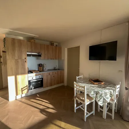 Climatise En Bord De Avec Piscine Et Parking A Saint-cyprien - Fr-1-753-29 *